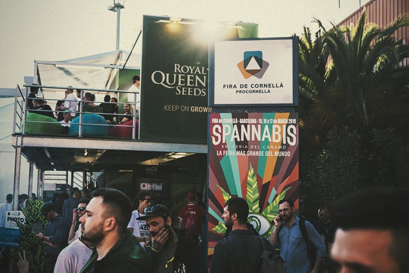 Spannabis 2019: Royal Queen Seeds wins Best Seedbank!