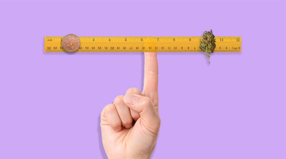 Gram, Eighth, Quarter, Ounce: Understanding Weed Weights - RQS Blog