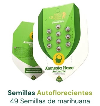 semillas-cannabis-autoflorecientes