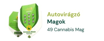 autovirázgö-marijuana-magok