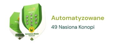 nasiona-konopy-automatyzowane