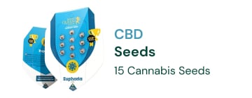 CBD-seeds