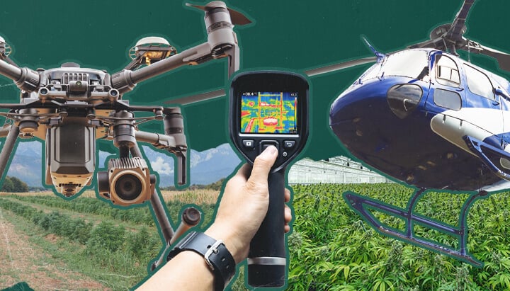 A drone capturing aerial footage of an outdoor cannabis growing operation, illustrating the challenges and techniques of air surveillance used to detect illicit cannabis cultivation in rural and hidden locations.