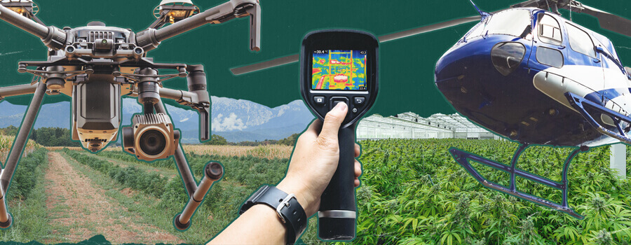 A drone capturing aerial footage of an outdoor cannabis growing operation, illustrating the challenges and techniques of air surveillance used to detect illicit cannabis cultivation in rural and hidden locations.