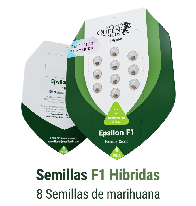 Compra Semillas De Marihuana De Royal Queen Seeds Semillas De Cannabis