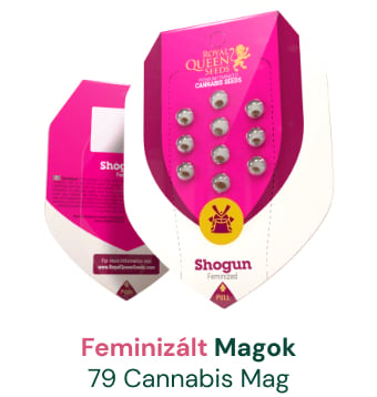 feminizált-marijuana-magok