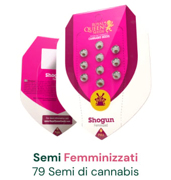 semi-femminizzati