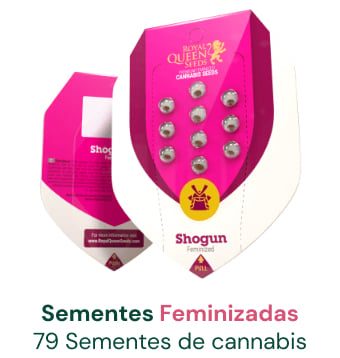 sementes-cannabis-feminizadas