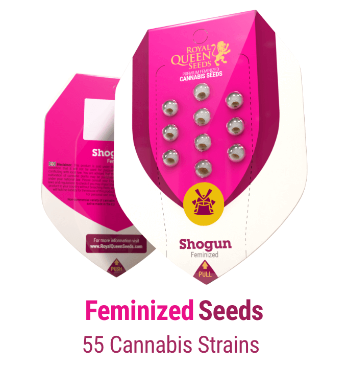 Buy Autoflowering & Feminized Cannabis Seeds. Royal Queen Seeds