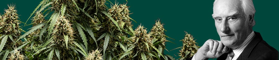 Black and white portrait of Francis Crick, featuring his hand on his chin, with cannabis plants to his left and a dark green background.