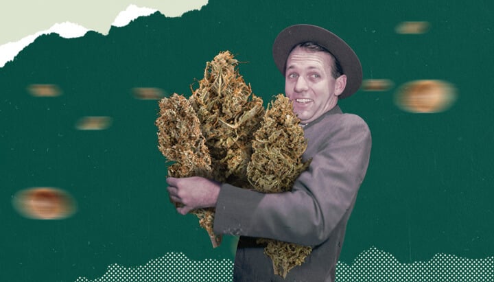 Excited cannabis shopper holding large cannabis buds during Green Wednesday 2024, the cannabis industry's answer to Black Friday.