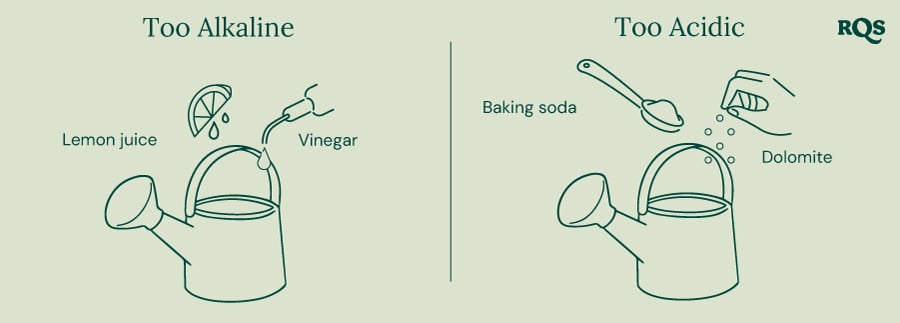 Guide for adjusting soil pH: lemon and vinegar for raising pH ('Too Alkaline'), baking soda and dolomite for lowering pH ('Too Acidic'). 