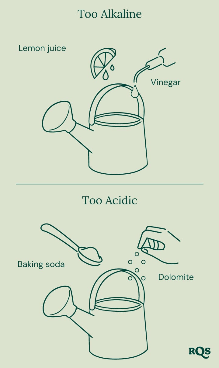 Guide for adjusting soil pH: lemon and vinegar for raising pH ('Too Alkaline'), baking soda and dolomite for lowering pH ('Too Acidic'). 