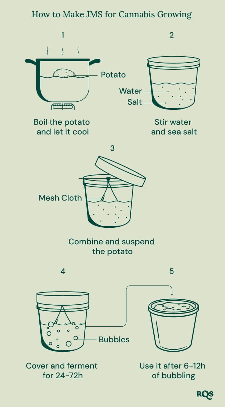 A step-by-step guide on how to make a potato-based fertilizer for cannabis plants.