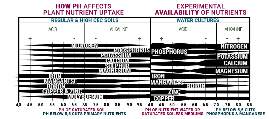 new aquaponics system high ph easy anf fun make an