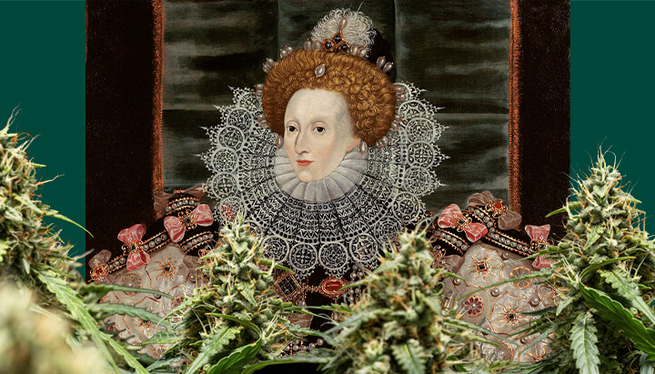 A colorful portrait of Queen Elizabeth I, centered and framed by cannabis plants with dense buds, against a dark green background.