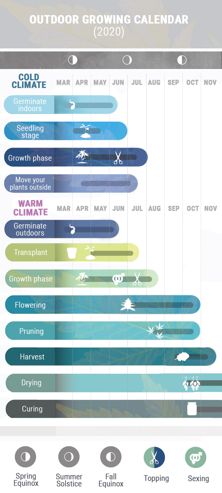 How To Grow Cannabis Outdoors 2020 - RQS Blog