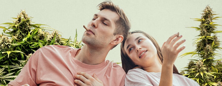 A man in a pink shirt smoking a lit joint and a smiling woman in a white shirt relaxing together, surrounded by lush cannabis plants, highlighting the connection between cannabis culture and relaxation.