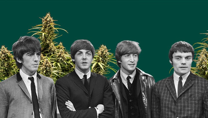 Black and white photo of The Beatles, featuring all four members with cannabis plants in the background and a dark green backdrop, highlighting the iconic scene.