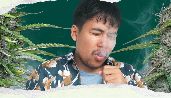 A man coughing while smoking a marijuana joint, surrounded by marijuana plants, emphasizing health effects like coughing and respiratory issues.