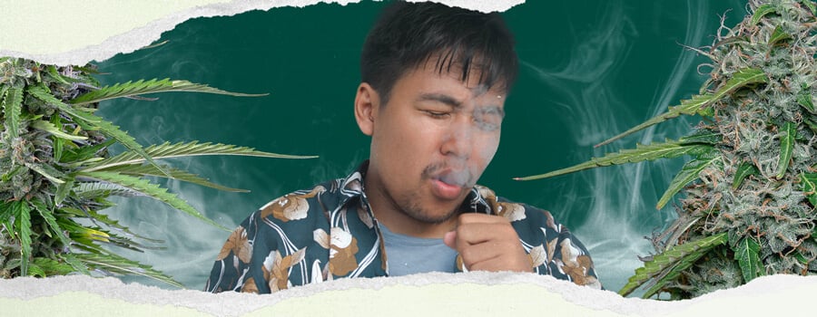 A man coughing while smoking a marijuana joint, surrounded by marijuana plants, emphasizing health effects like coughing and respiratory issues.