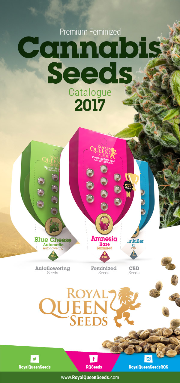 Cannabis Seed Catalogue in PDF