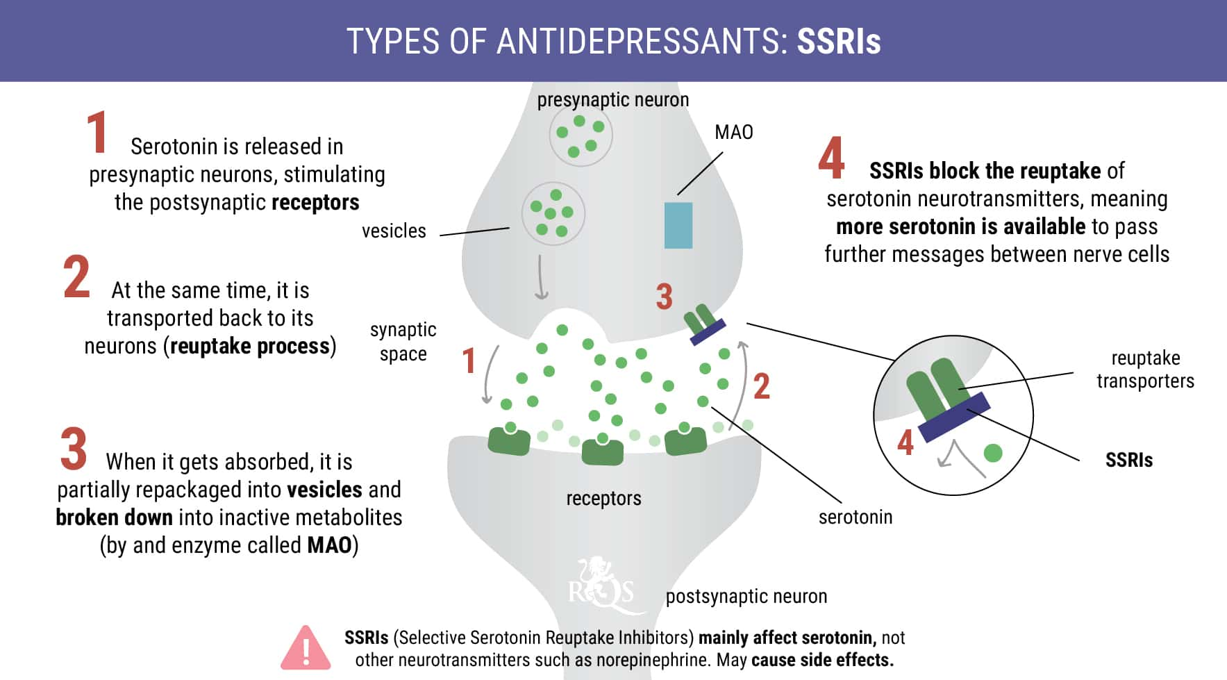 antidepressants mechanism of action