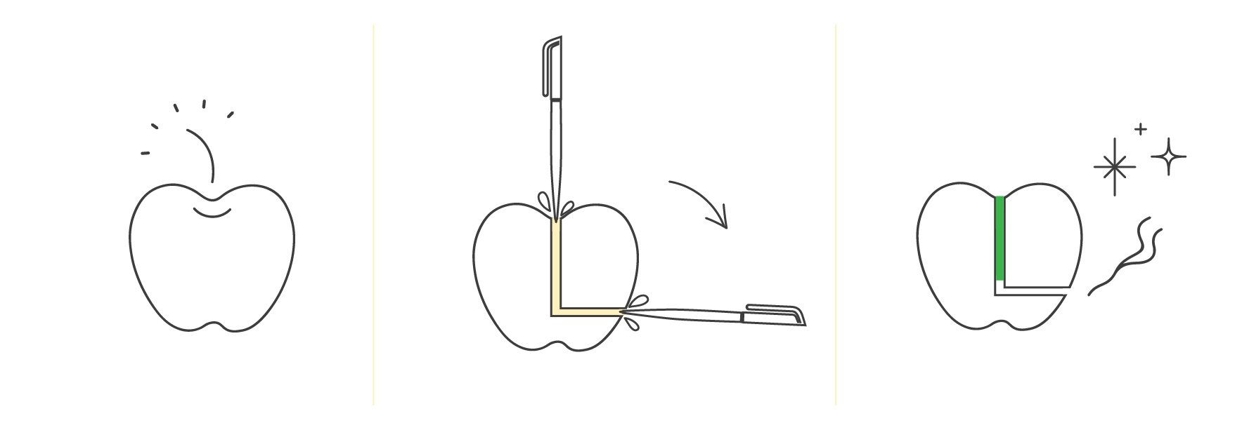 How to Make a Bong on Your Own - WeedSeedShop