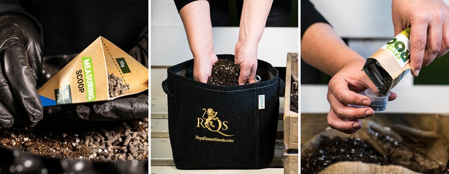 Collage of three images showing a person adding RQS nutrients to the soil of a cannabis plant. The visuals emphasize proper feeding techniques to ensure healthy growth and avoid nutrient problems, showcasing the careful handling of nutrient solutions and their application in cannabis cultivation.