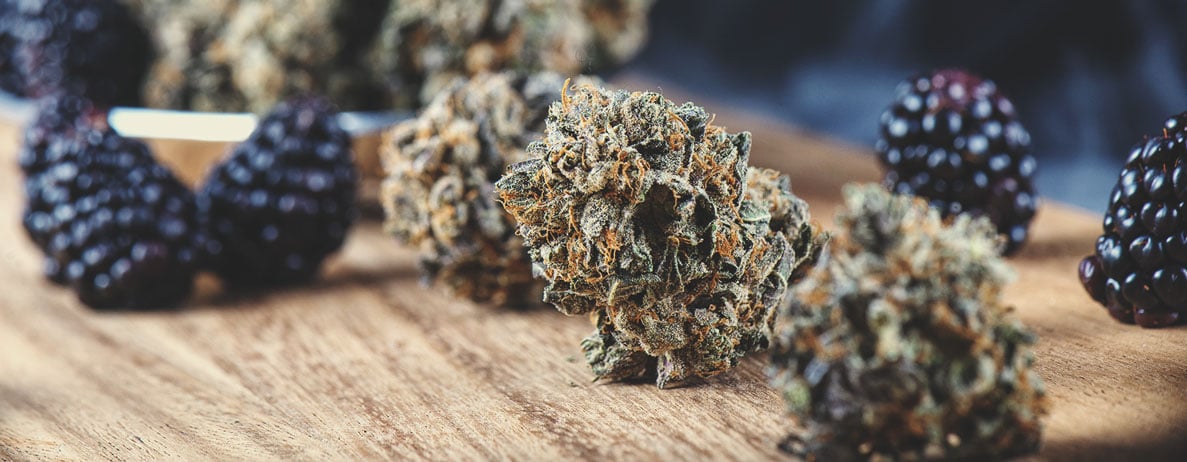 Taste and Effects of Cannabis Strains: A Guide