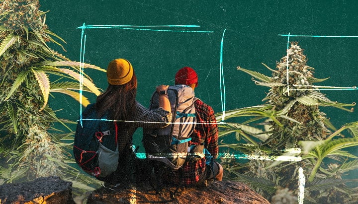 Two people sitting on a rock surrounded by nature, with close-up views of cannabis plants on each side, highlighting their detailed leaves and buds.