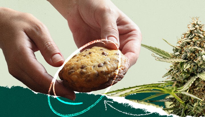 Collage showing a person holding a chocolate chip cookie next to an image of a cannabis plant.