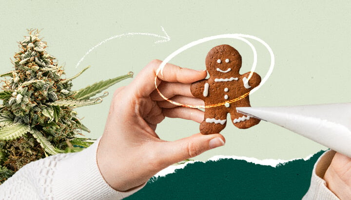 Gingerbread man cookie being decorated with white icing for holiday baking.