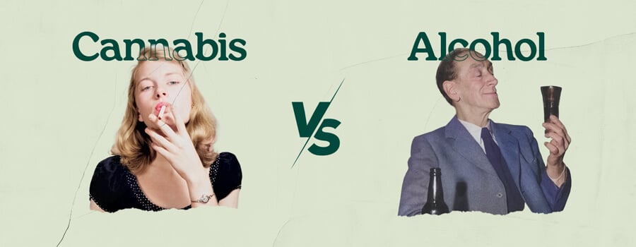 Cannabis vs Alcohol