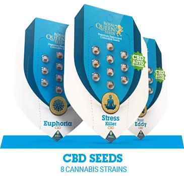 Buy Autoflowering & Feminized Cannabis Seeds - Royal Queen Seeds