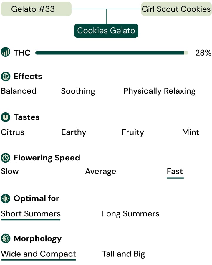 Cookies Gelato Key Attributes