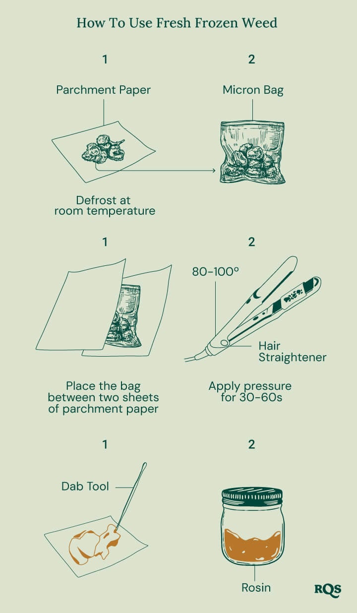 Illustrated guide showing how to use fresh frozen weed for rosin extraction. Steps include defrosting on parchment paper, placing in a micron bag, using a hair straightener at 80-100°C for 30-60 seconds, and collecting rosin with a dab tool.