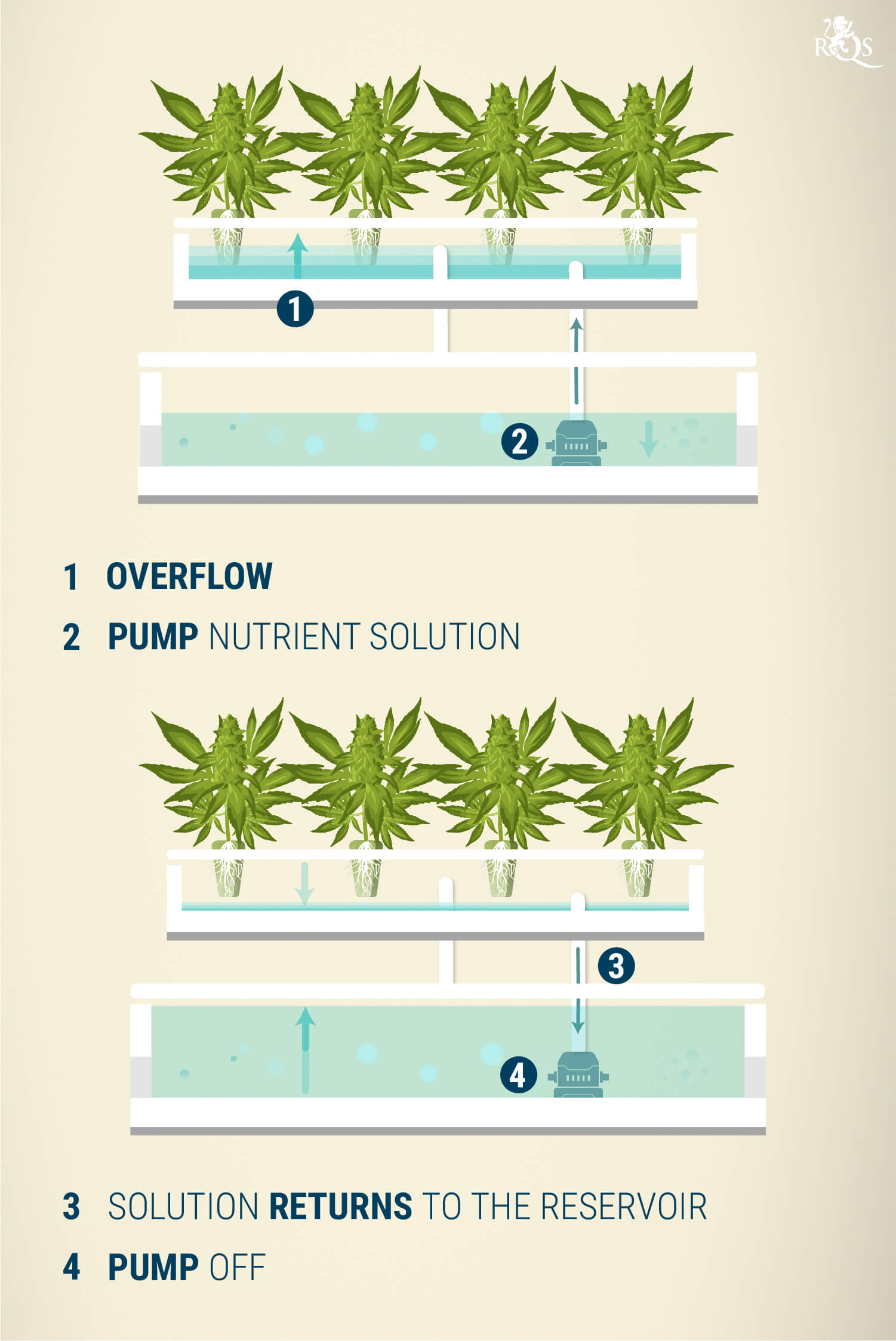 https://www.royalqueenseeds.com/img/cms/hydroponics-EN-06.jpg