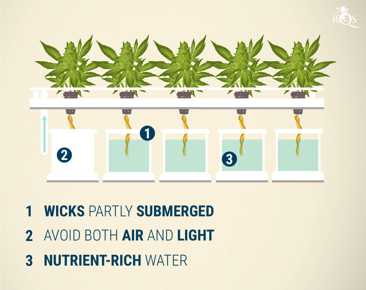 Weed Bubblers Explained: Everything You Need To Know - RQS Blog