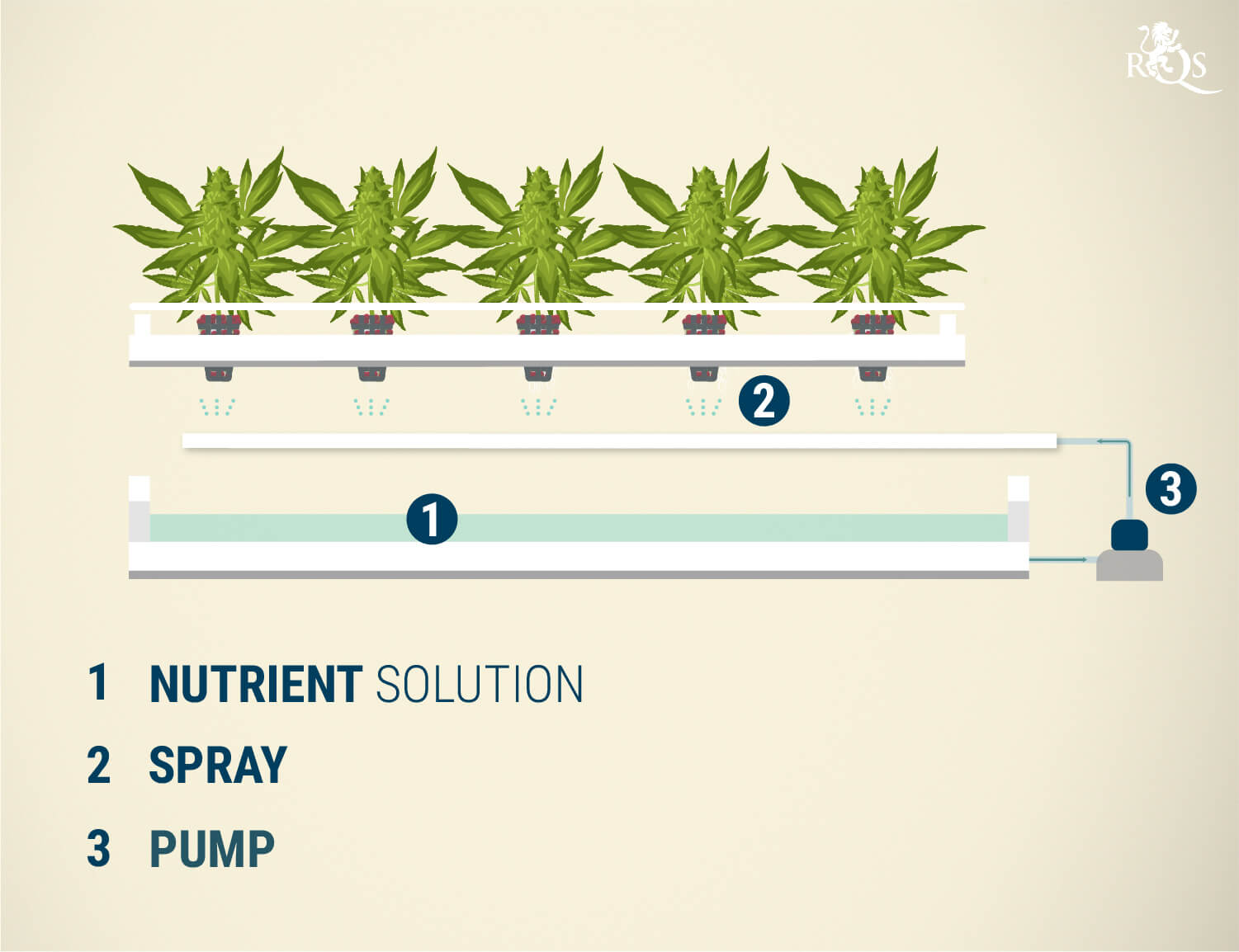 Growing Marijuana Hydroponically Indoors Using Water