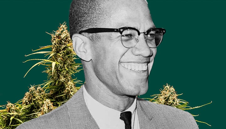 A detailed portrait of Malcolm X set against a deep green backdrop, framed by lush cannabis plants with thick, resinous buds.