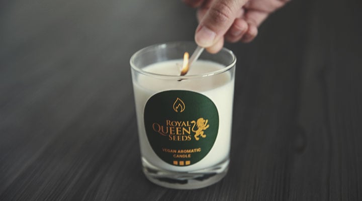 Benefits of Hemp Candle Wicks  MOOD THE CANDLE REVIVAL CO. – Mood Revival