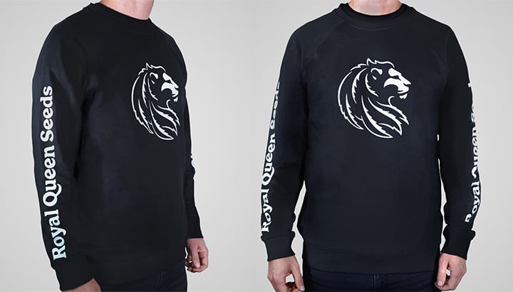 Black sweatshirt with a white lion head logo on the chest and 'Royal Queen Seeds' text on the sleeves.