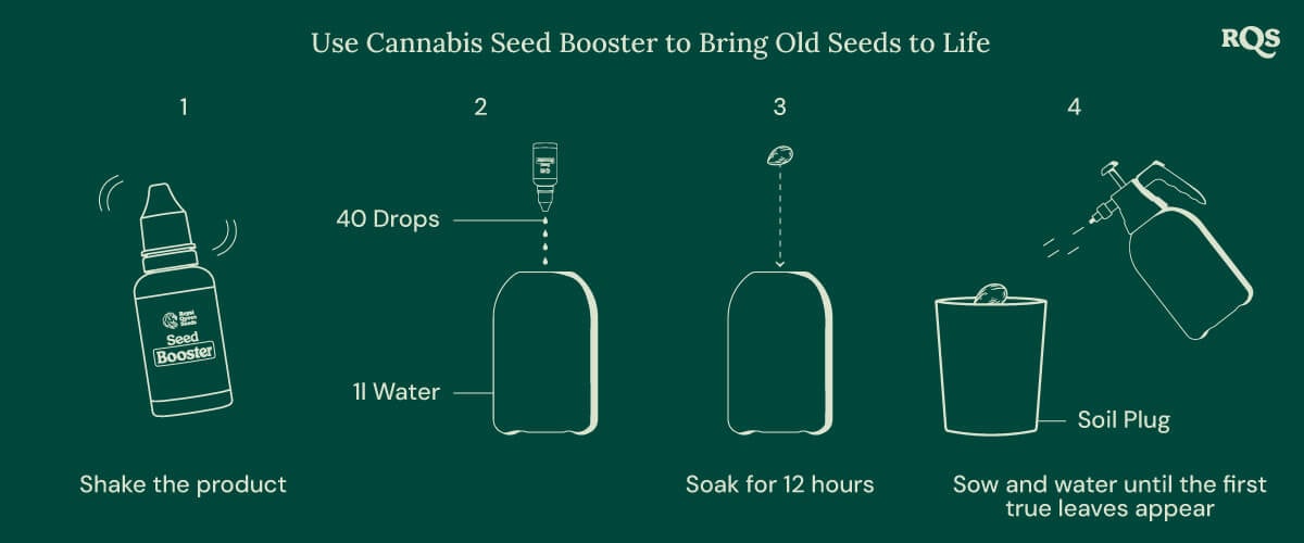 Seed booster cannabis old seed