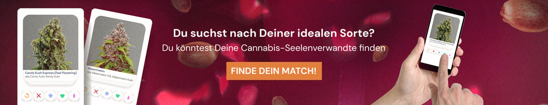 Cannabis Seedfinder