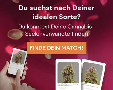 Cannabis Seedfinder