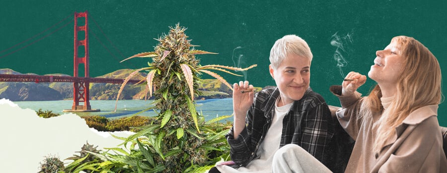 Two women are sitting outdoors, joyfully smoking joints. The background includes cannabis plants and a view of the Golden Gate Bridge.