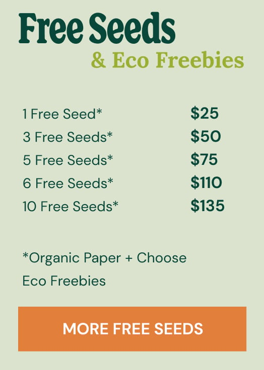 free cannabis seeds