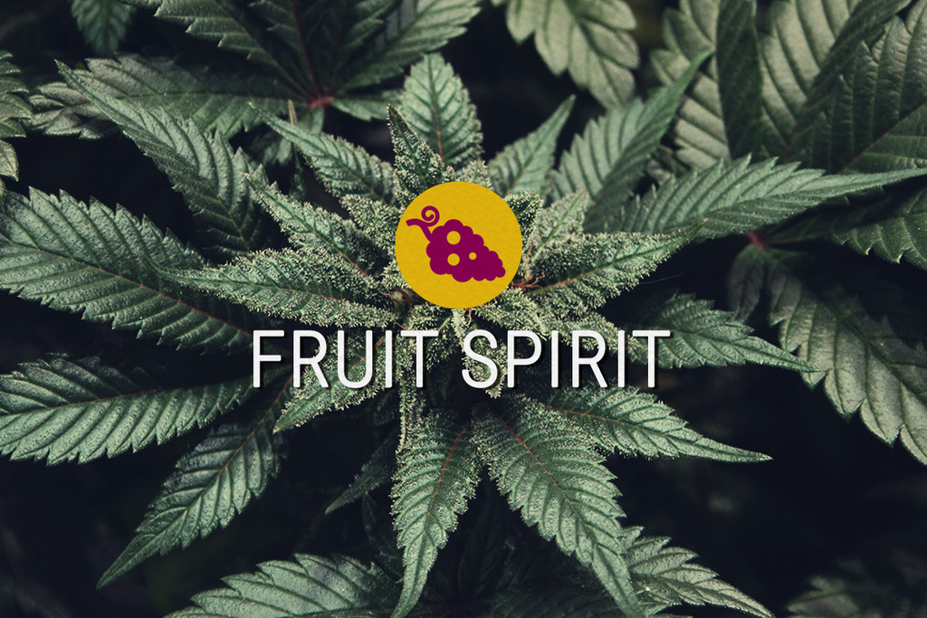 Fruit Spirit 🍇 Semi di Cannabis - Royal Queen Seeds