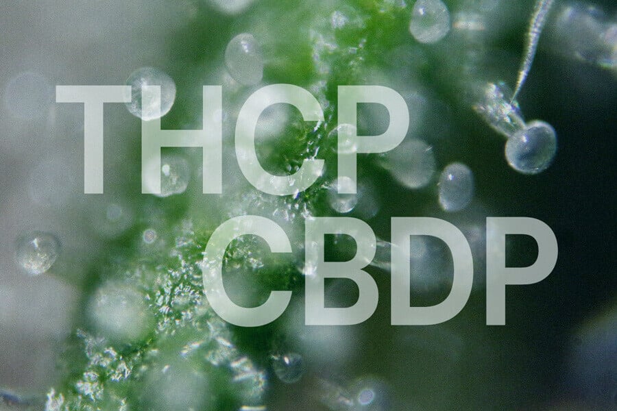 THCP and CBDP: A Comprehensive Guide to Two New Cannabinoids